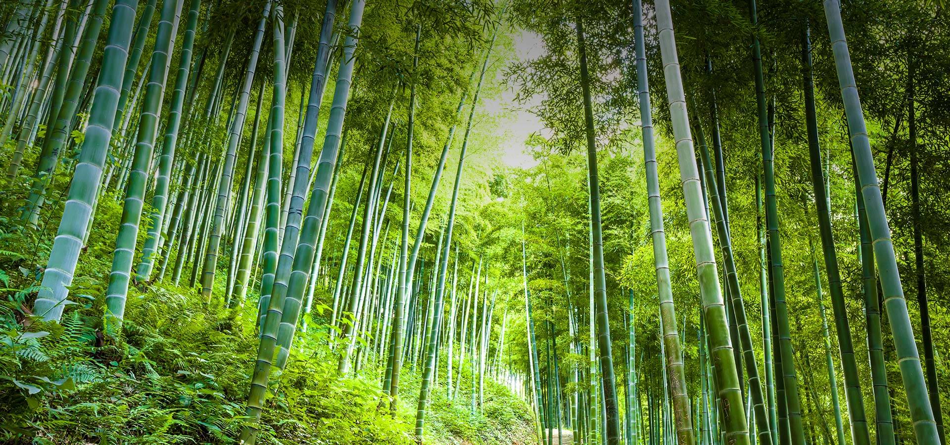 工業(yè)六偏磷酸鈉